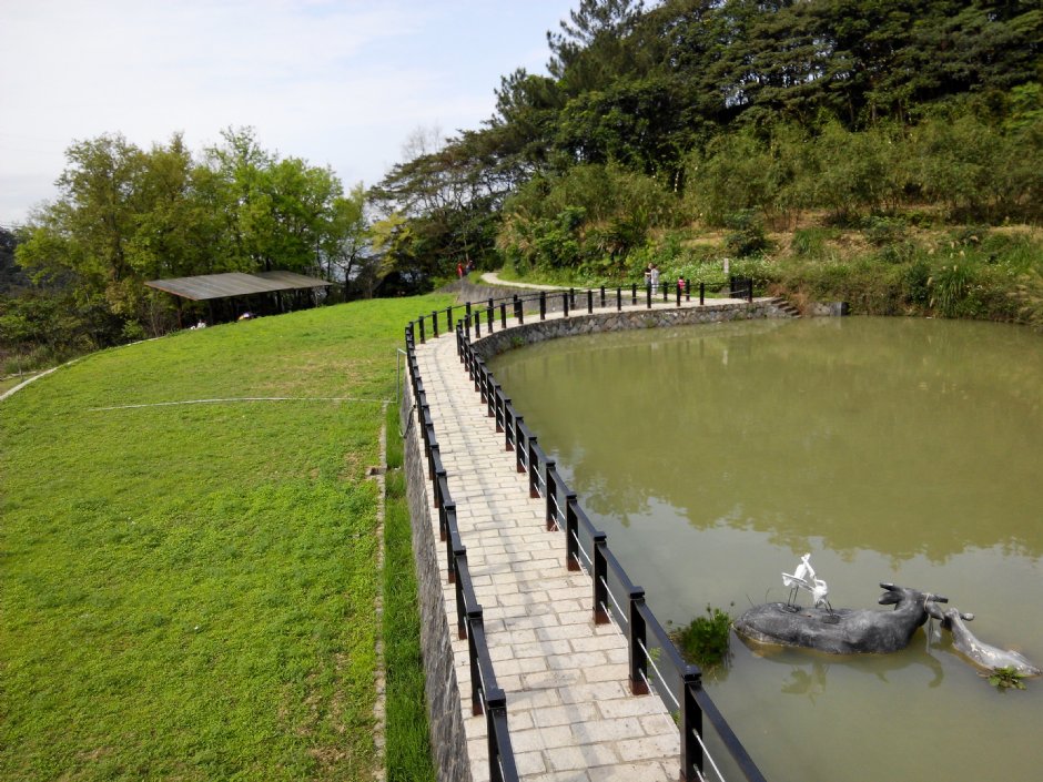 樟樹步道 攝影：Lu