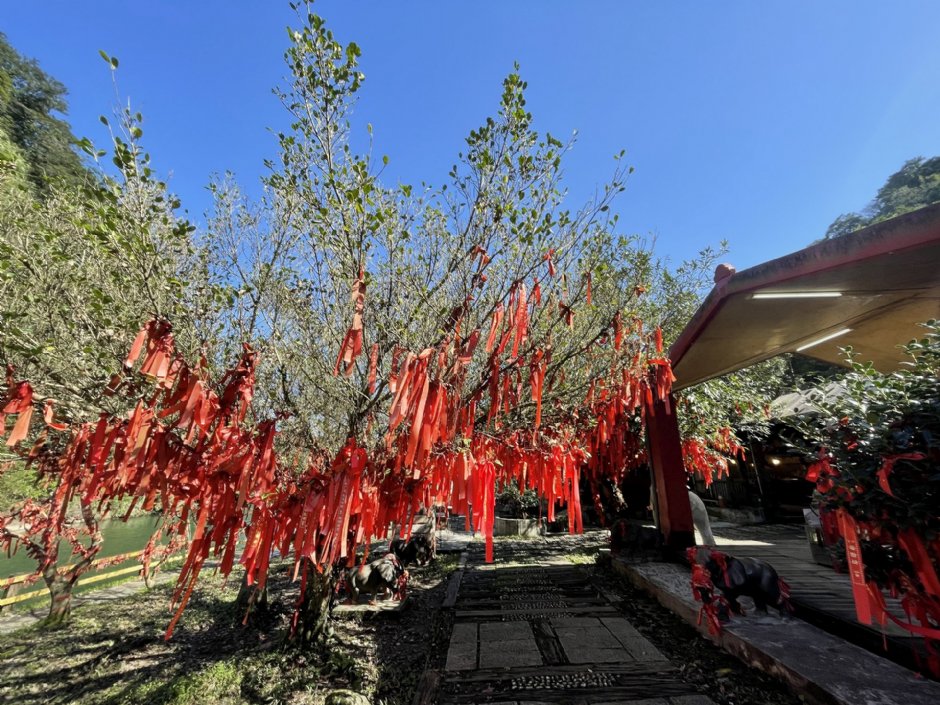 十分風景特定區 攝影：Eva隨手拍