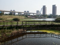 景观桥木栈道<br/> 摄影：桃園市政府觀光旅遊局