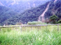 曲冰遗址一景<br/> 摄影：南投縣政府
