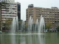 Photo:meiyin