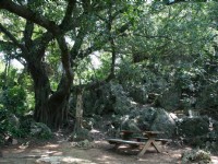 Photo:老山羊部落格