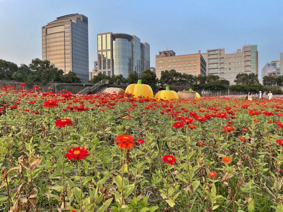 美堤河濱公園(2021年花海) 攝影：Eva隨手拍