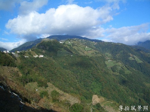 绿树清添好风光~ 摄影：專拍風景照2