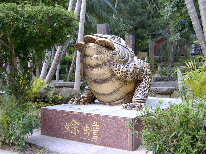 金蟾蜍 摄影：曾婉玲