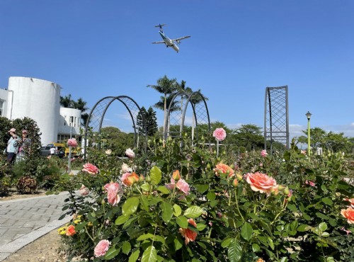 台北玫瑰園-台北玫瑰園