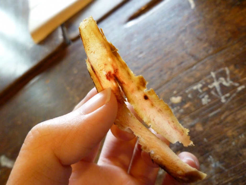 七星柴魚博物館 攝影：陳皮梅