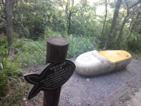 鲤鱼山步道<br/> 摄影：Lu