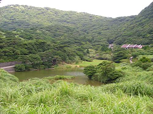 綠色的森林 攝影：老山羊