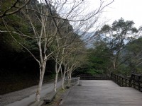Photo:Lu