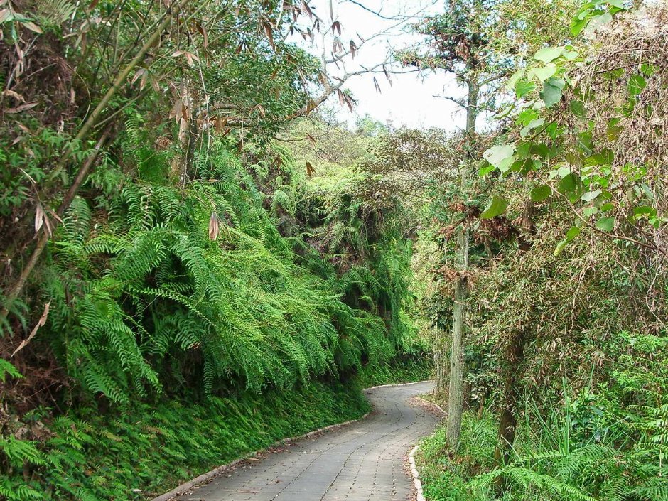 环湖步道 摄影：老山羊部落格