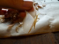 七星柴魚博物館<br/> 攝影：陳皮梅