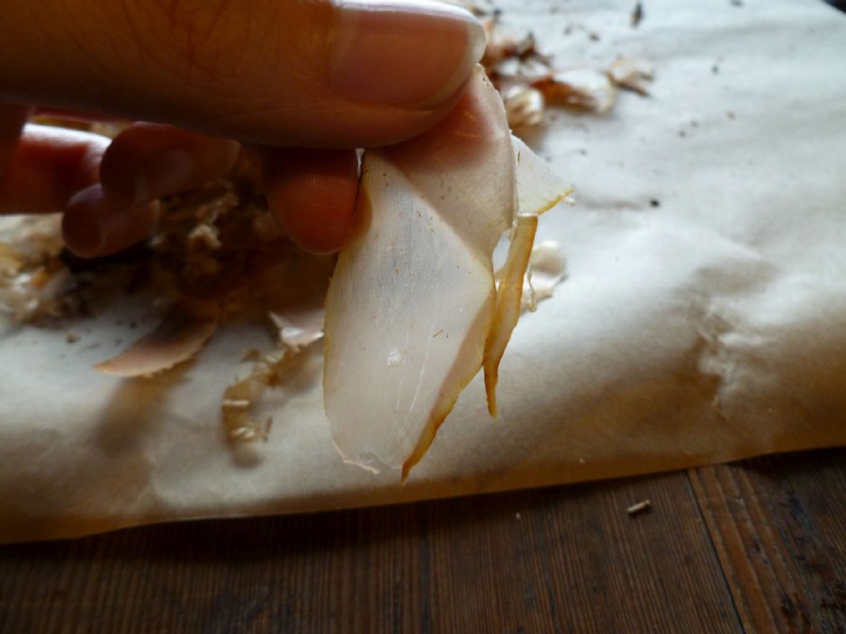 七星柴魚博物館 攝影：陳皮梅