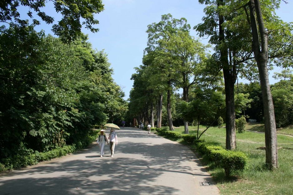 Photo:老山羊部落格