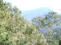 远望山林一景<br/> 摄影：老山羊資訊網