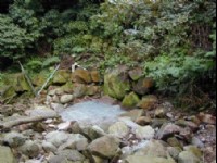 三芝冷泉<br/> 攝影：老山羊