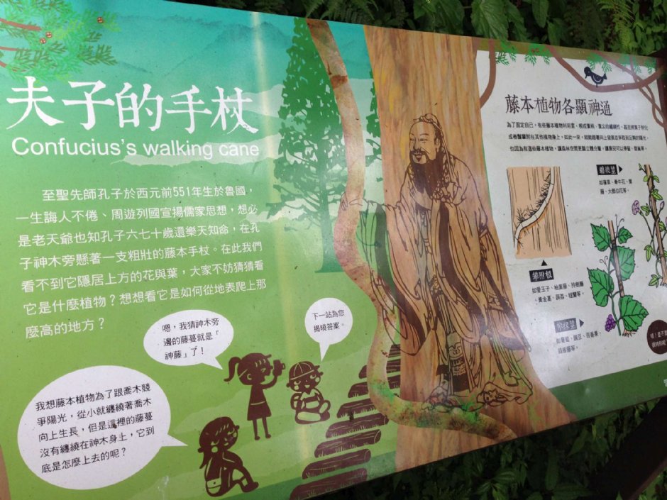 棲蘭神木園 攝影：陳皮梅