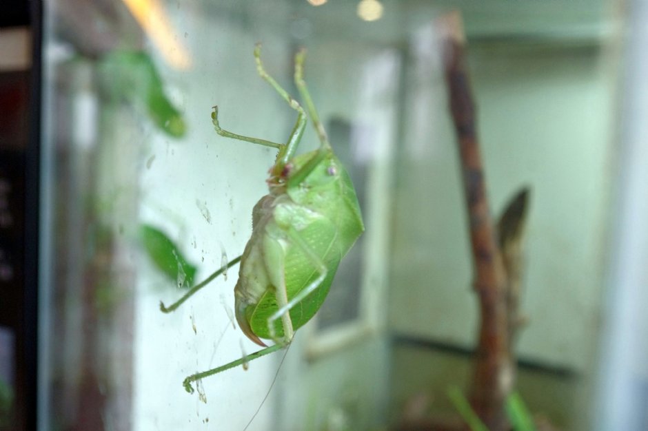 Photo:Eva隨手拍