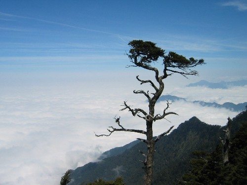 Photo:自助旅行家族