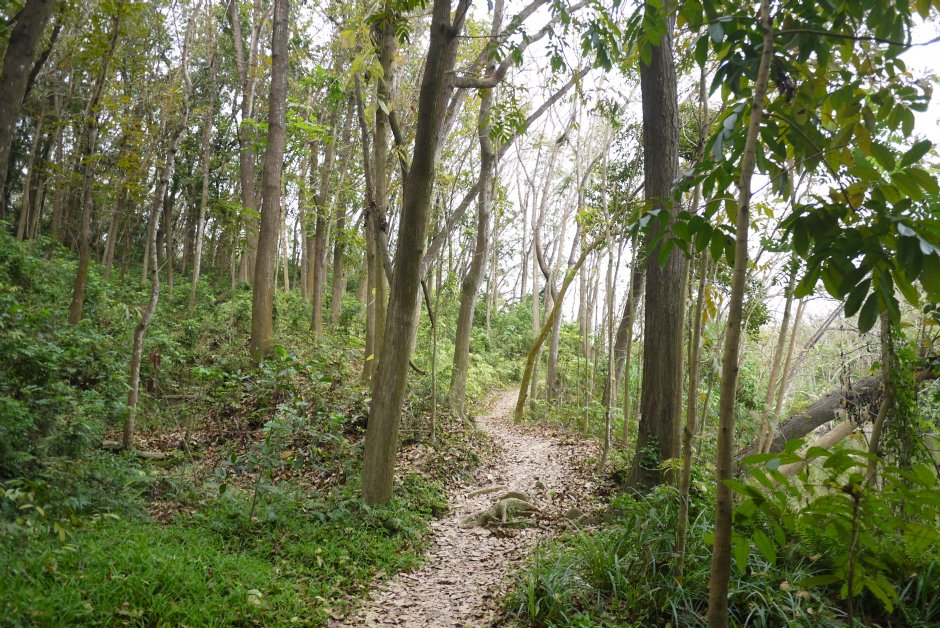 新化植物園 攝影：旅遊王攝影組