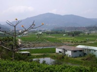 Photo:老山羊部落格