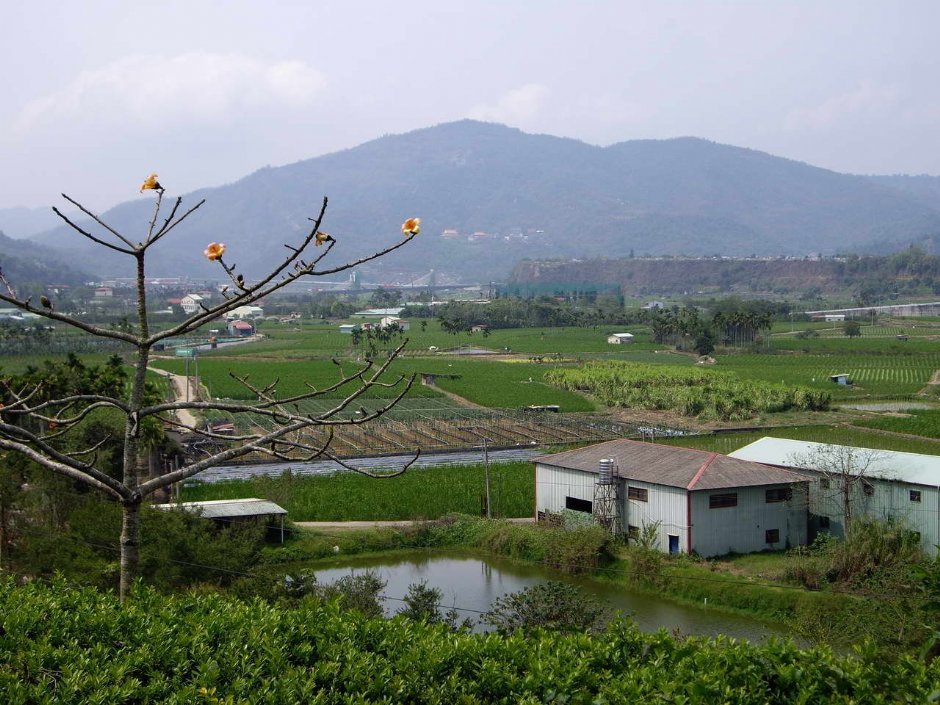 Photo:老山羊部落格