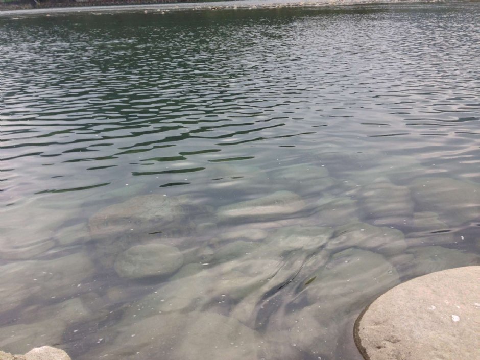 梅花湖 摄影：陳皮梅