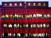 求学业<br/> 摄影：陳李豪