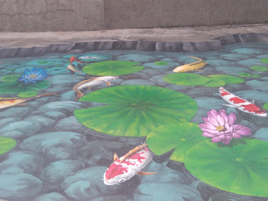 水莲游鲤 摄影：Lu