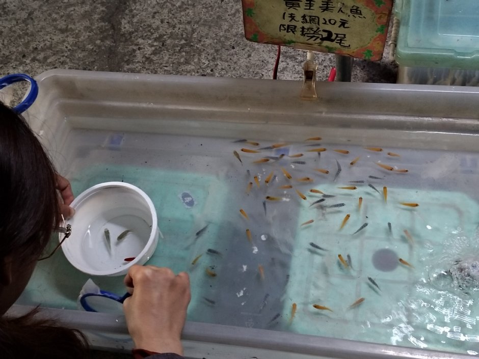 斗六人文夜市 摄影：meiyin