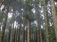 野马瞰山步道<br/> 摄影：Lu