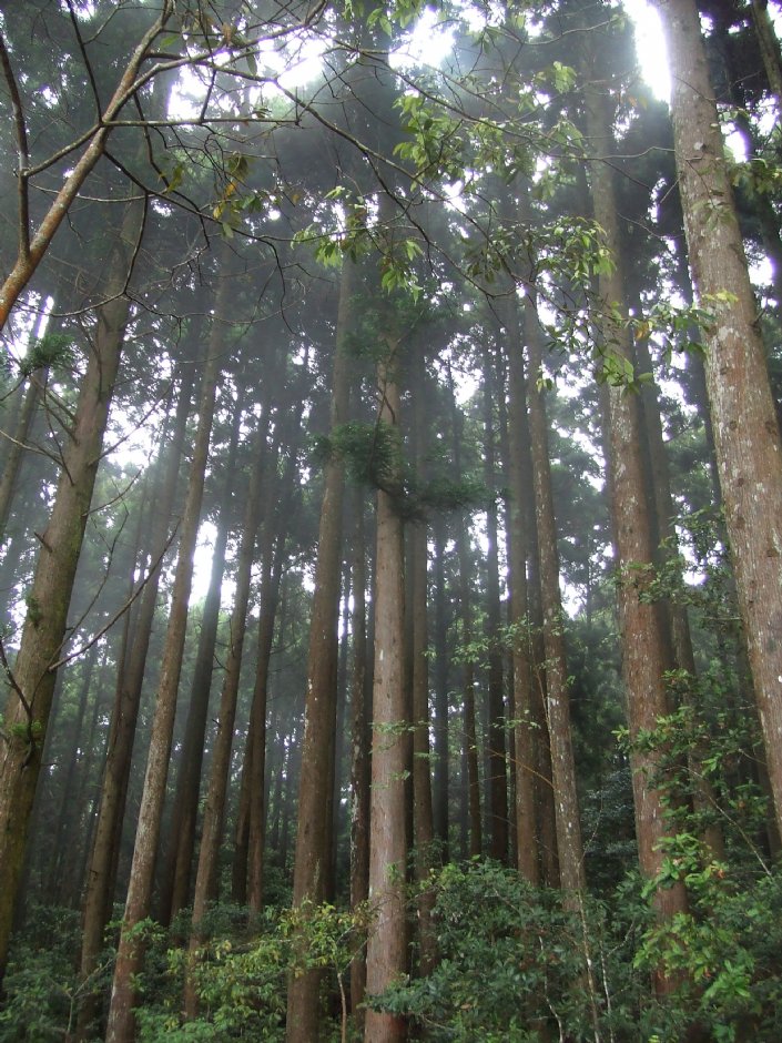 野马瞰山步道 摄影：Lu