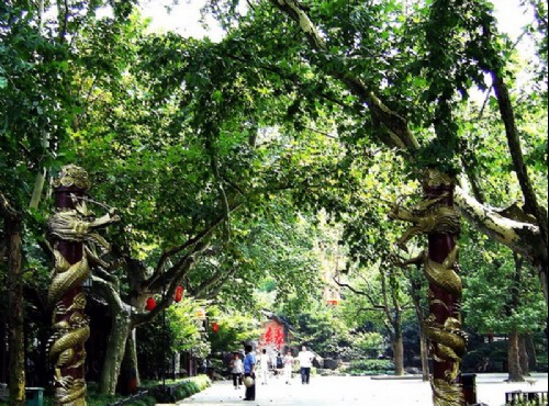Yellow Dragon Cave-The entrance of Yellow Dragon Cave