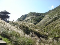 仰望步道<br/> 攝影：陳美吟