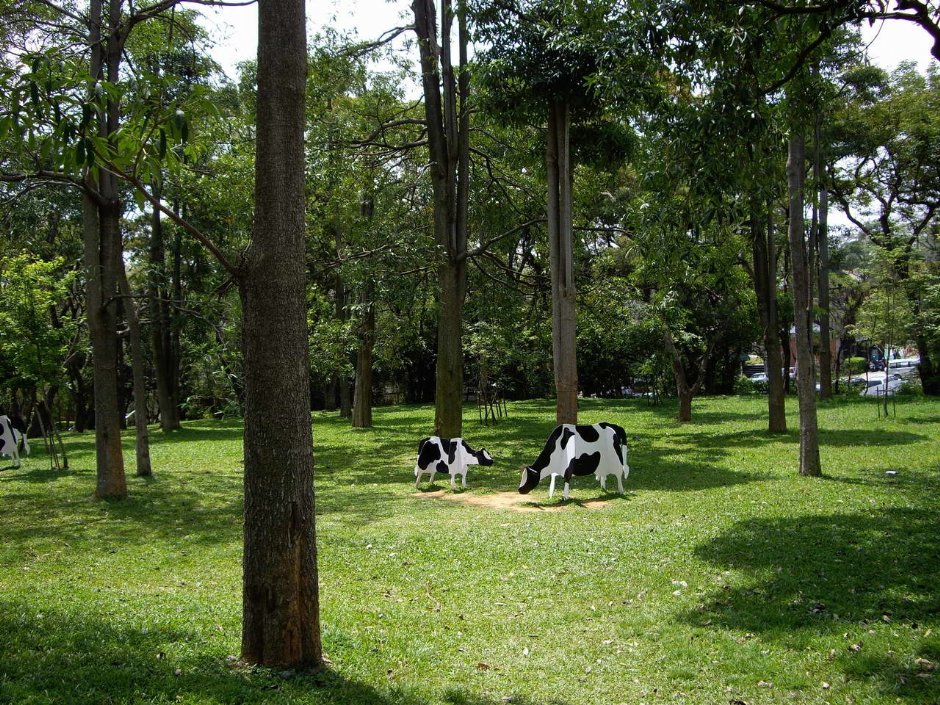 Photo:老山羊部落格