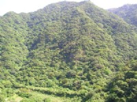高耸山座<br/> 摄影：老山羊資訊網