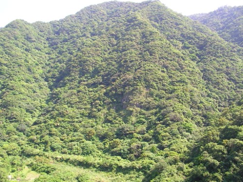高耸山座 摄影：老山羊資訊網