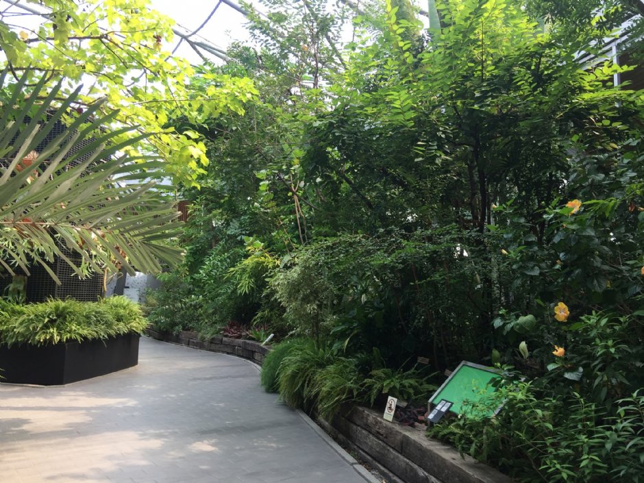 台北典藏植物园 摄影：Eva隨手拍