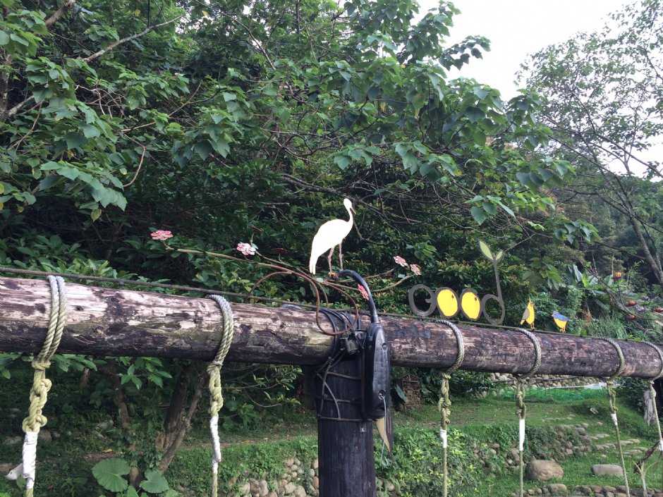 好時節農莊 攝影：Eva隨手拍