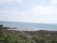 Photo:鄭瑄頤