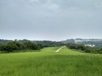 青青草原<br/> 攝影：Lu