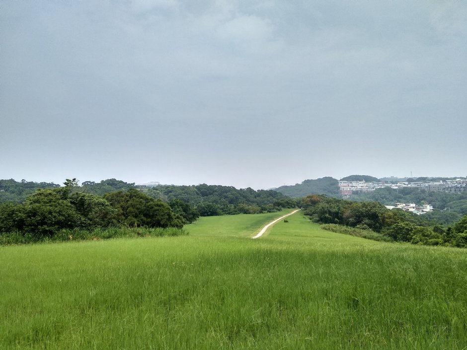青青草原 攝影：Lu