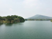 Photo:Rony