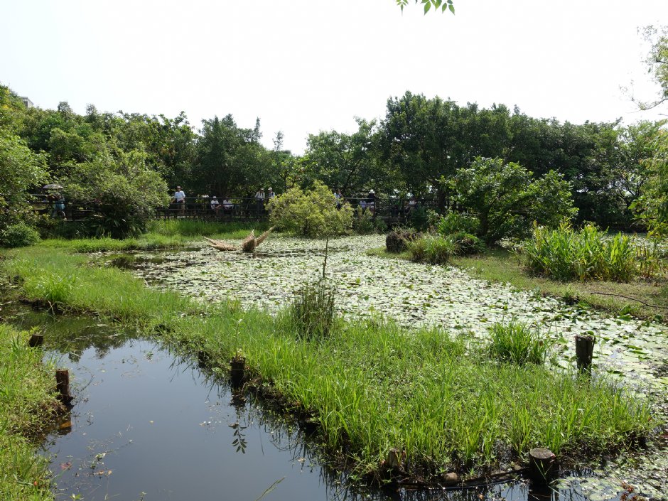 Photo:meiyin