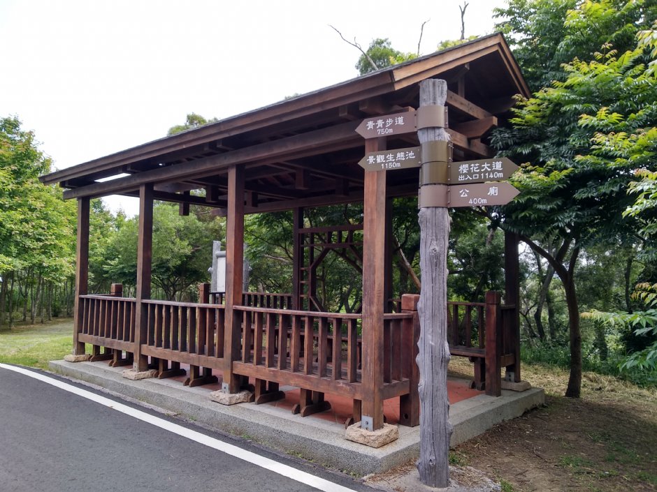 青青草原 攝影：Lu