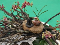 花博争艳馆-竞花艺术(特展与花卉竞赛)<br/> 摄影：amo