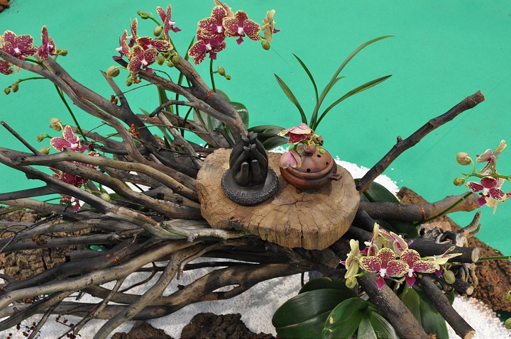 花博争艳馆-竞花艺术(特展与花卉竞赛) 摄影：amo