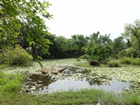 Photo:meiyin