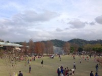 Photo:陳皮梅