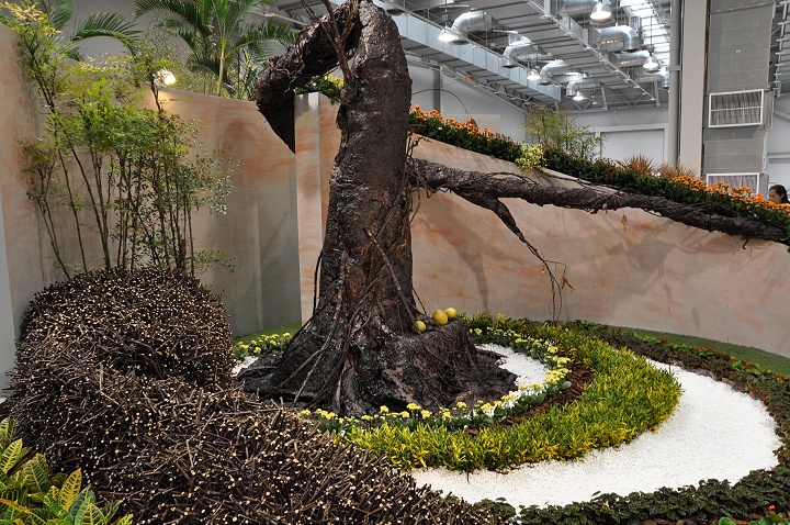 花博争艳馆-竞花艺术(特展与花卉竞赛) 摄影：amo